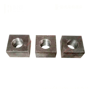 CNS4378 Special Anchor Nuts For Special Anchor Bolts