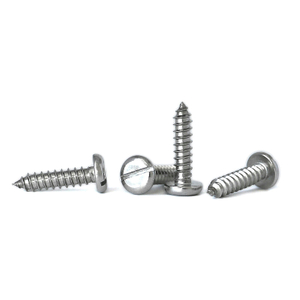 NF E 25-663 Slotted Pan Head Tapping Screws